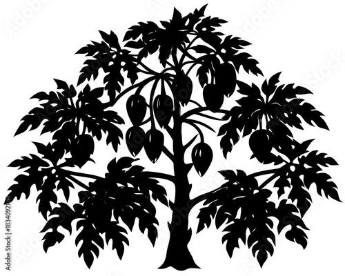 Black silhouette of a papaya tree with ripe fruits and large leaves