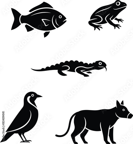 Classification of five animal classes: fish, amphibian, reptile, bird, and mammal.