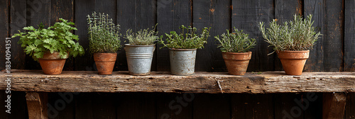 Row of potted aromatic herbs including basil and thyme on rustic wooden shelf against dark wooden wall, home gardening concept.