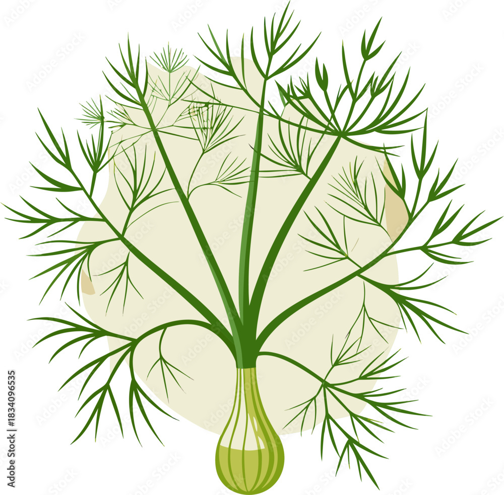 Fototapeta premium Fennel