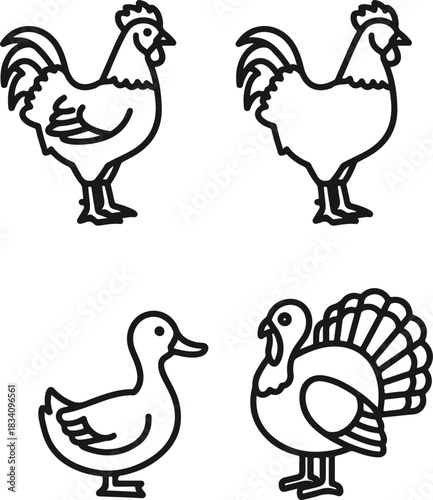 Line art icons of chicken rooster duck and turkey farm birds outlines