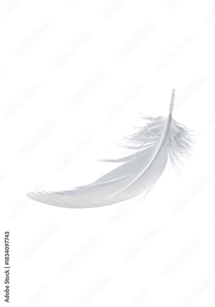 Fototapeta premium Feather white soft floating on white background