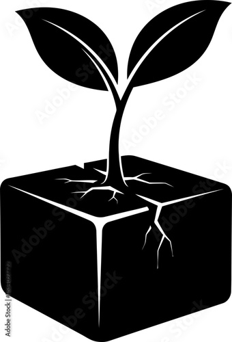 Small plant with two leaves growing from a cracked cube of earth. Growth, nature and eco friendly concept. Flat simple style. Vector icon
