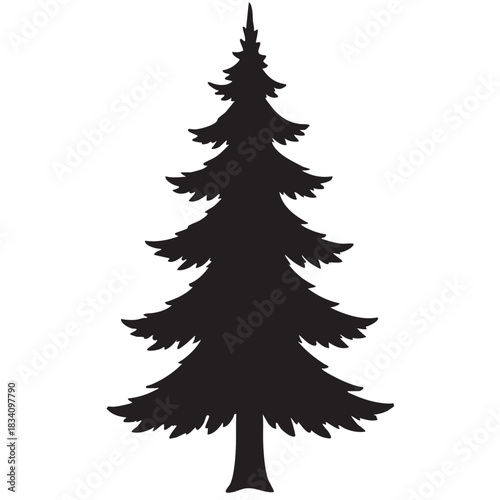 Silhouette of evergreen tree isolated on white background coniferous nature element shape