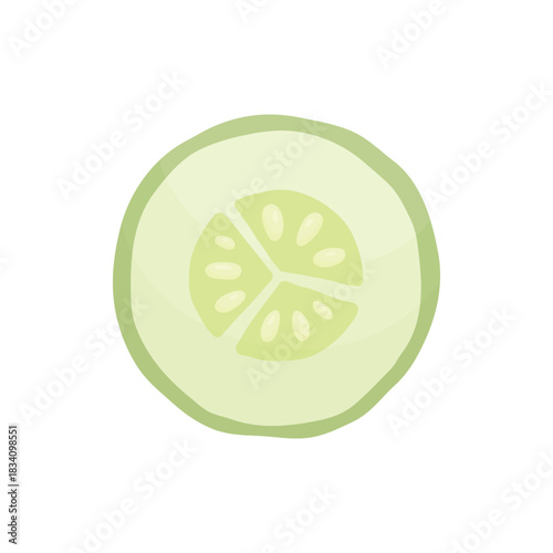 A slice of fresh green cucumber on a white background. Chopped vegetables. Salad vegetables.