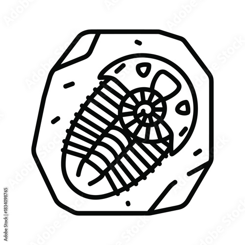 Trilobite Fossil Outline Icon
