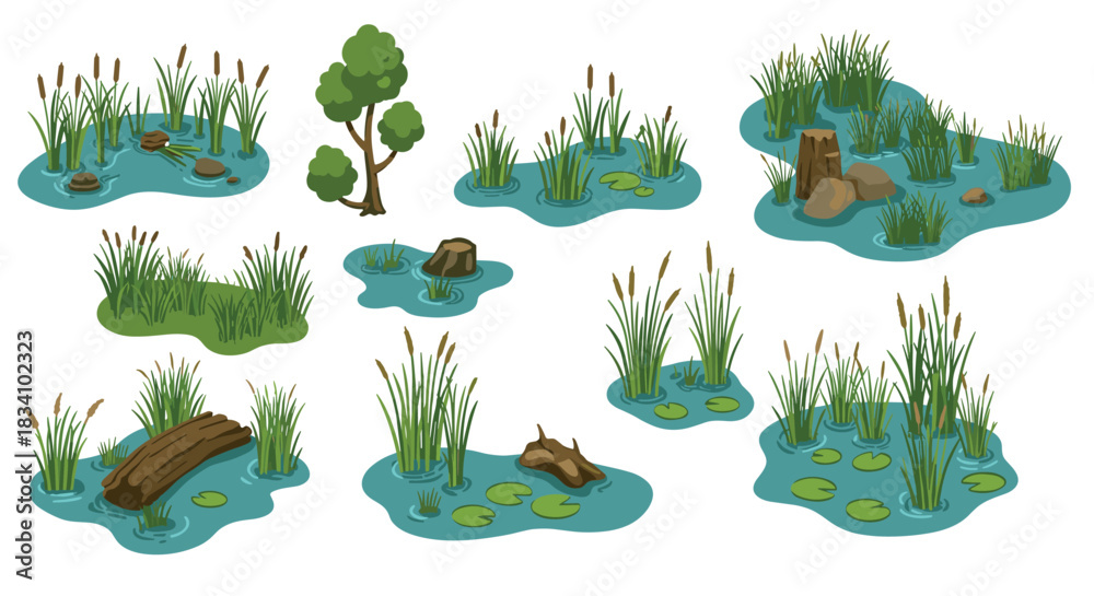 Fototapeta premium Collection of flat cartoon marshland elements with trees, grasses, and water plants
