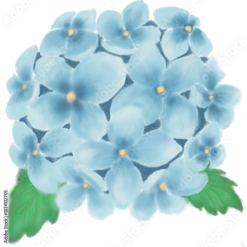 Minimal hydrangea flower illustration in soft pastel tones with transparent background. Elegant botanical clipart suitable for design, branding, invitations, and digital products.