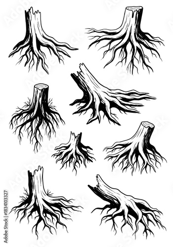Collection of hand-drawn ink illustrations featuring various detailed tree stumps with tangled exposed roots in a dramatic vintage black and white nature aesthetic style, perfect for rustic designs