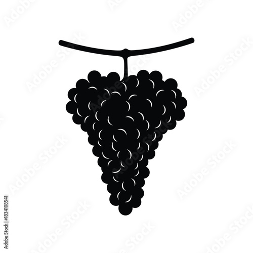 A dark silhouette of a ripe bunch of grapes hanging from a vine silhouette