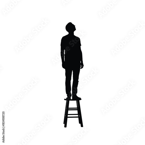 A person stands on a stool in a stark silhouette