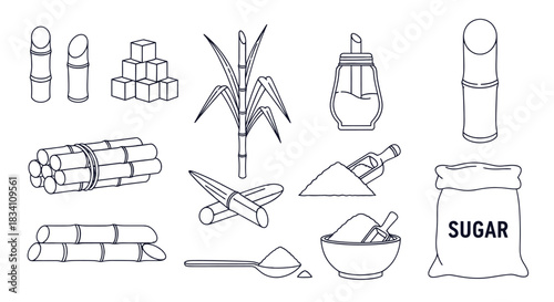 Sugarcane products illustration sugar cubes bag bowl spoon plant