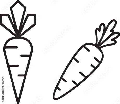 Carrot Outline Collection Featuring Organic Veggies Fresh From Farmers Market