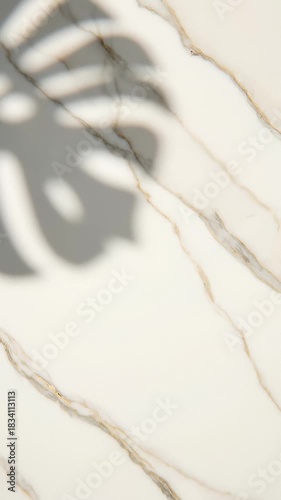 Tropical Leaf Shadow Over Marble Countertop, Minimalist Background