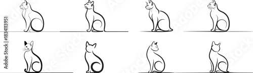 Vector drawing cat sitting collection black lines , curves to create the legs and tail.
