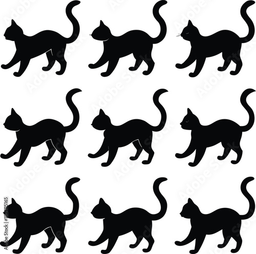 Photography set of cats silhouettes