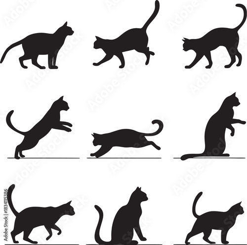 Canvas Print set of cats silhouettes