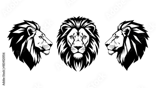 A set of powerful male lion head illustrations in black and white. Includes front view and side profiles, perfect for a mascot or emblem design