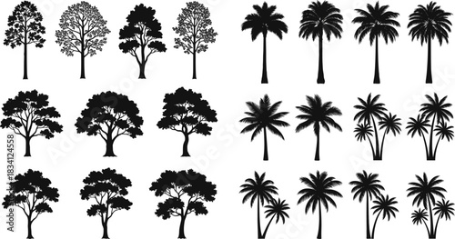 Extensive Vector Silhouette Set of Diverse Trees and Tropical Palm Varieties for Architectural Layouts, Landscape Design, and Nature Graphics
