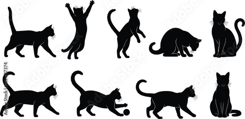 Cat silhouette collection, feline poses, walking, jumping, sitting, playing, crouching, black vector, animal motion, pet behavior, whiskers detail