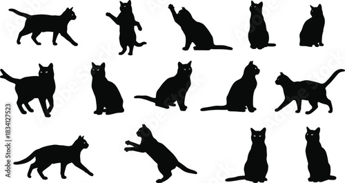 Black cat silhouettes in various poses, walking, sitting, jumping, crouching, standing, feline movement, animal vector illustration, design