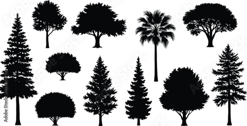 Tree silhouettes in various shapes, coniferous, deciduous, palm, botanical diversity, foliage outline, nature vector illustration, design
