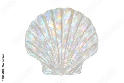 Iridescent scallop shell with mother of pearl luster showing radial ridges on transparent background