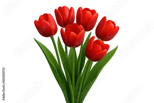 Red tulips bouquet with green leaves. Blossoming flowers bringing spring, love, and passion. Transparent background