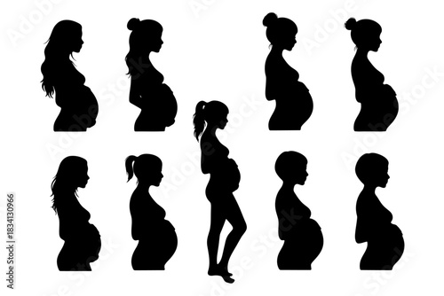 Collection of pregnant woman silhouettes in side profile, a set of expectant mothers with various hairstyles, vector illustration showing maternity stages and belly growth