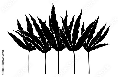 Black graphic silhouette of five kelp, seaweed, or algae plants with long stems, vector illustration