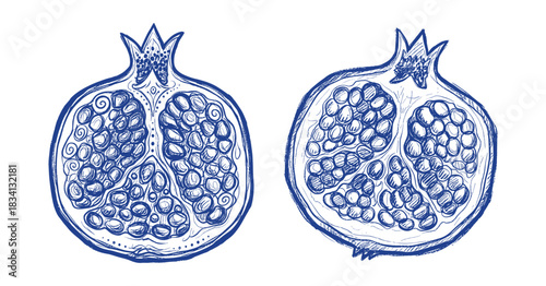 Set of blue line art illustrations of pomegranate halves showing seeds