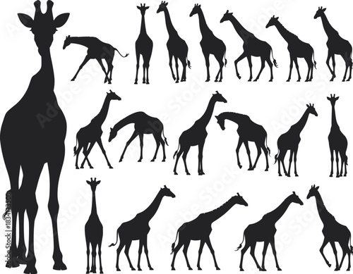 A clean vector illustration featuring a collection of sixteen giraffe silhouettes in diverse poses
