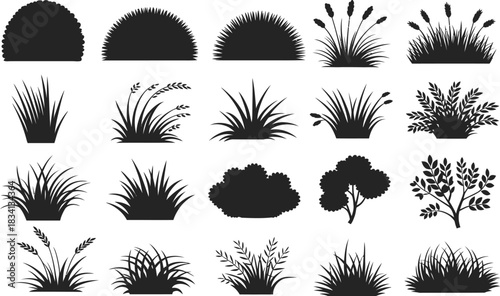 Black Silhouette Grass A Set of Vector Illustrations