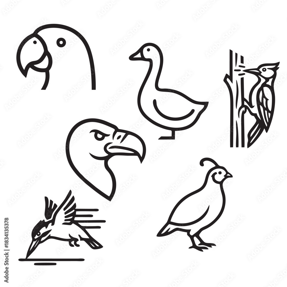 Fototapeta premium 🦅 Bird Icons and Outline Graphics for Design Projects