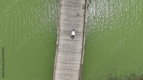 Male cyclist training exercising outdoor – Crossing wood bridge lake. Aerial view, drone up, tracking shot. Cyclist riding a Gravel / Road Bike city / street bike path. Cyclist white cycling jersey.