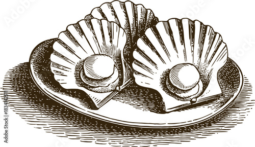 Vintage engraving woodcut seafood vector illustration art design