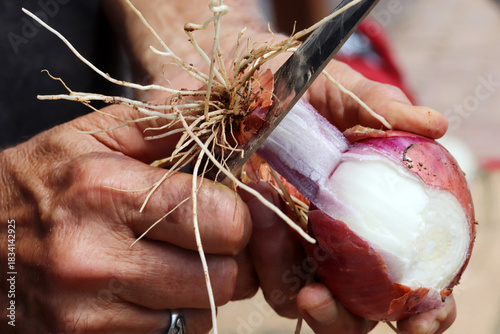 a man peeling red onions
