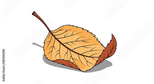 A single autumn leaf with yellow and brown tones rests on a white surface, casting a subtle shadow.