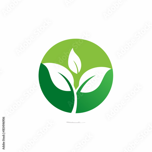 Abstract Nature Emblem Three White Leaves Emerging from Green Circle  Environmental Graphic