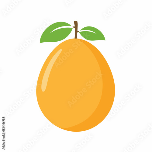 Simple Orange Fruit with Green Leaves Illustration