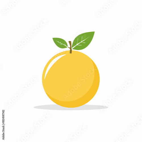 Yellow Citrus Fruit with Green Leaves and Shadow