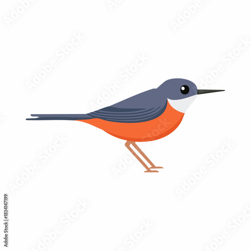 Cute colorful little bird with orange chest and gray blue feathers in flat design