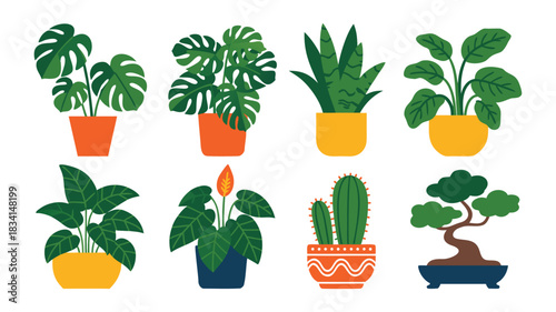 Set of potted carrots and fresh vegetables illustration
