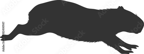 Black capybara silhouette running across
