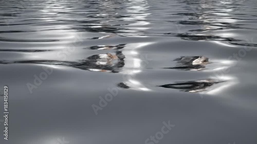 Dark Water Surface with Shimmering Light Reflections.