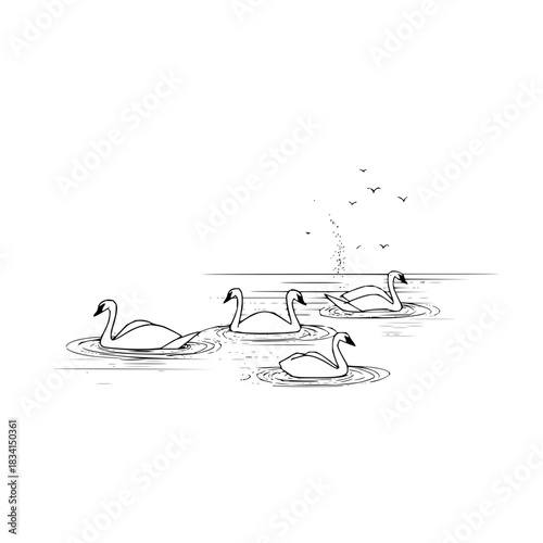 Elegant swans gracefully swimming on a serene lake with birds flying above in a monochrome illustration