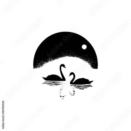 Two swans reflected in water under a dark moonlit sky in a monochrome artistic illustration