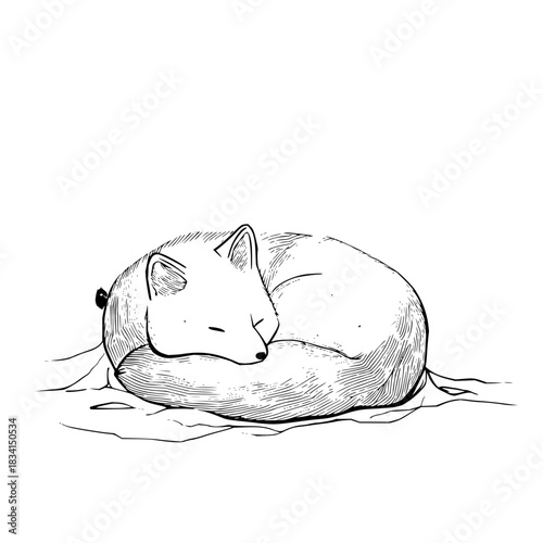 A curled up fox sleeping peacefully on a bed of leaves in a black and white line drawing style image