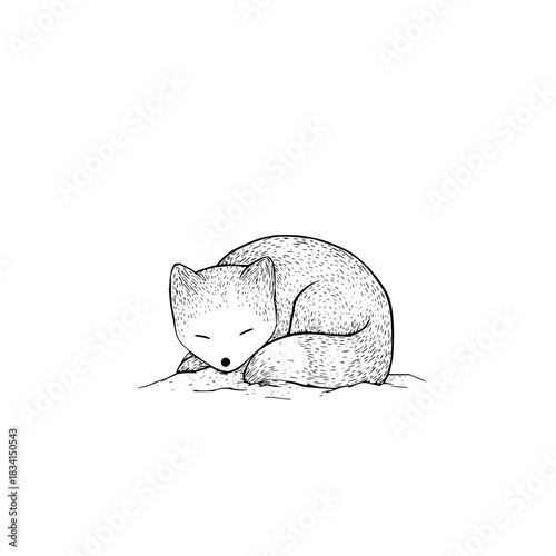 Illustration of a curled up sleeping fox with closed eyes in black and white line art style design