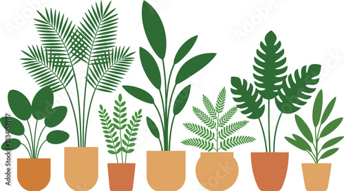 Collection of various potted plants with green leaves minimalist style decorative indoor plants home decor isolated on white background botanical illustration